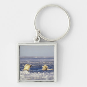 Polar bear cubs playing keychain