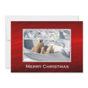 Polar Bear Cubs Snow Photo Christmas Flat Holiday Card