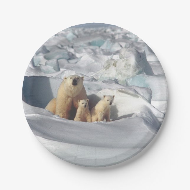 Polar Bear Cubs Snow Photo Paper Plates (Front)