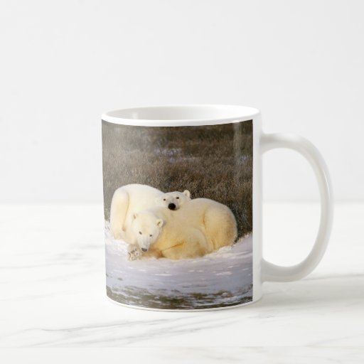 Polar Bear Cup Series Mugs | Zazzle