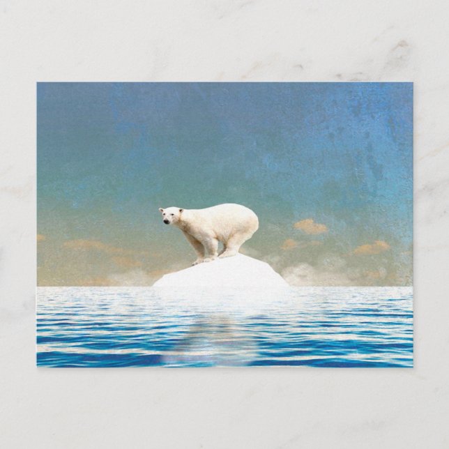 Polar Bear Decor | Art for Home Office Announcement Postcard (Front)