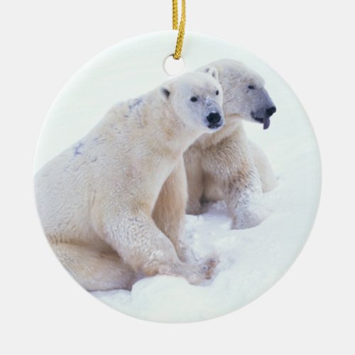 Polar Bear Duo Ceramic Ornament