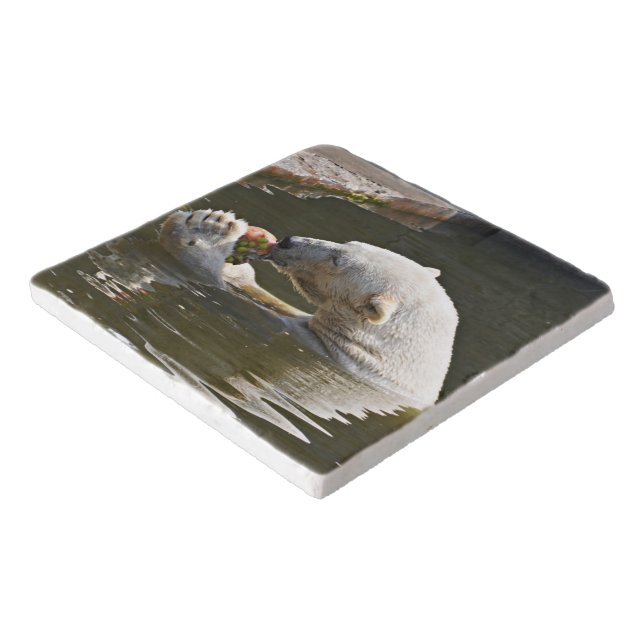 Polar Bear Eating Fruit Artwork Trivet (Corner)