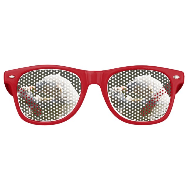 Polar Bear Eating Fruit In Water Retro Sunglasses (Front)