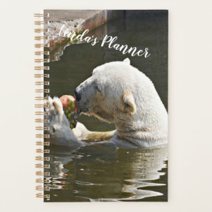 Polar Bear Eating Fruit Organizer