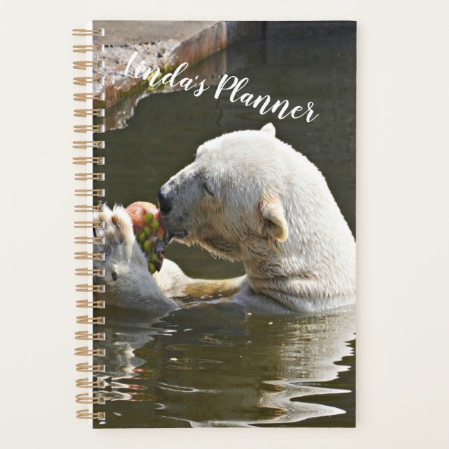 Polar Bear Eating Fruit Organizer (Front)