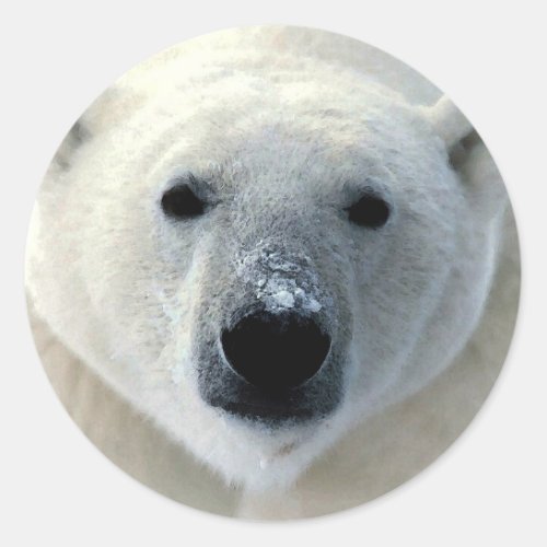 Polar Bear Face Classic Round Sticker