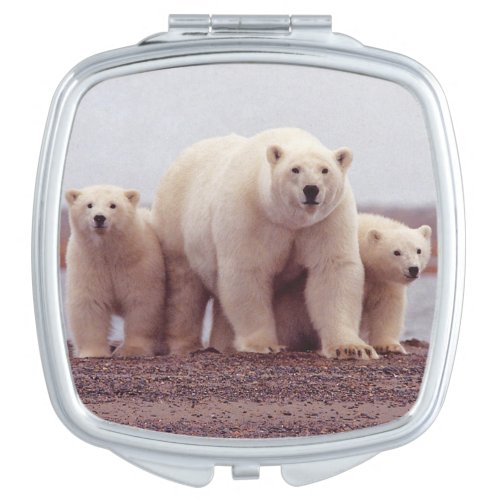 Polar Bear Family Cute Photo Compact Mirror