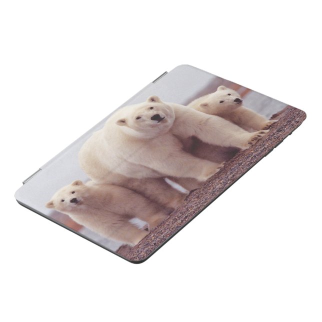 Polar Bear Family iPad Mini Cover (Side)