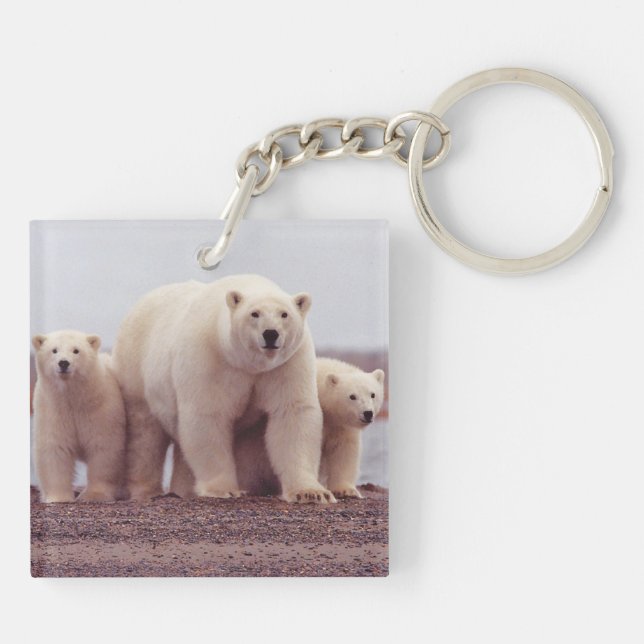 Polar Bear Family Mother and Cubs Photo Keychain (Back)