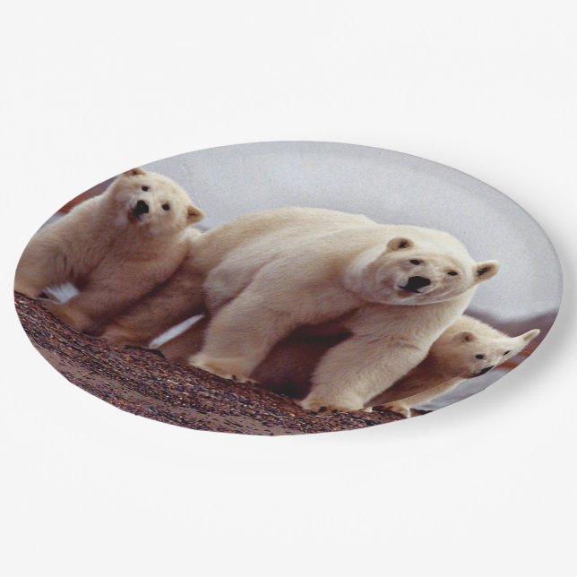 Polar Bear Family Paper Plates (Angled)