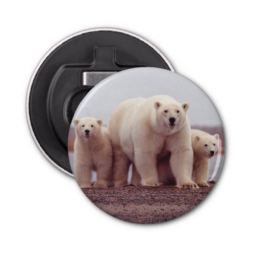 Polar Bear Family Photo Bottle Opener