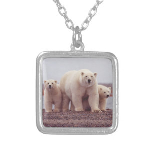 Polar Bear Family Silver Plated Necklace