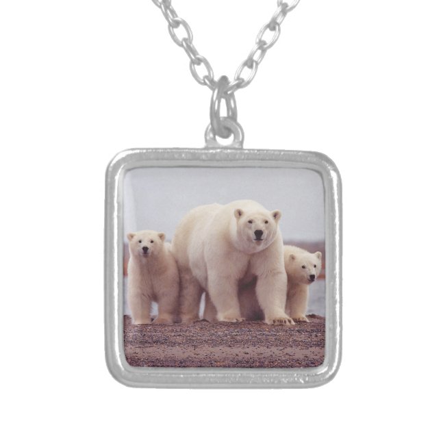 Polar Bear Family Silver Plated Necklace (Front)