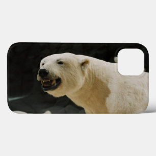 Polar Bear Grin iPhone 13 Case