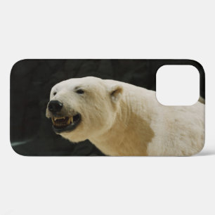 Polar Bear Grin iPhone 12 Case