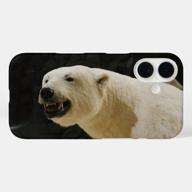 Polar Bear Grin Case-Mate iPhone Case (Back (Horizontal))