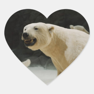Polar Bear Grin Heart Sticker