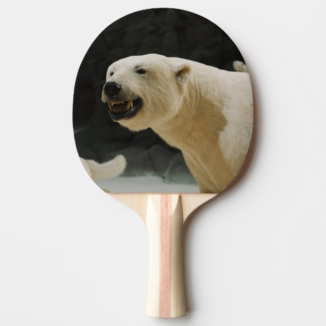 Polar Bear Grin Ping-Pong Paddle (Front)
