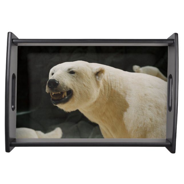 Polar Bear Grin Serving Tray (Front)
