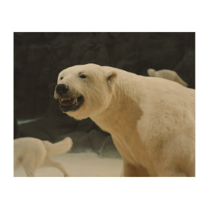 Polar Bear Grin Wood Wall Decor