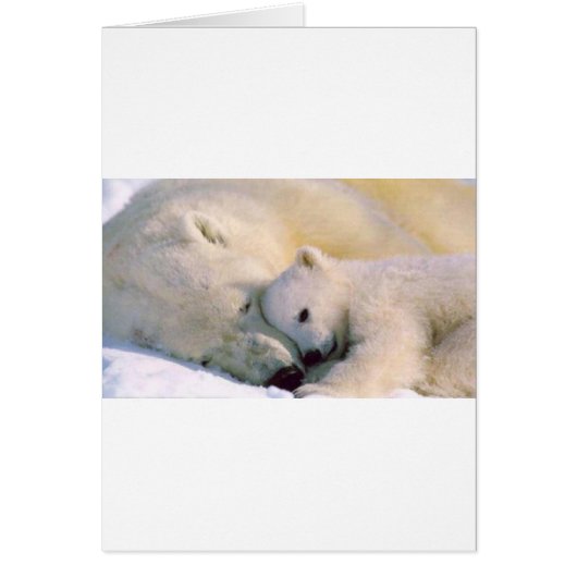 Polar Bear Hugs Cards (Front)