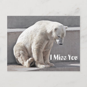 Polar Bear I Miss You Postcard