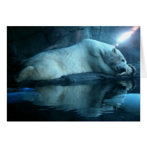 Polar Bear In Prayer 2 Blank Card