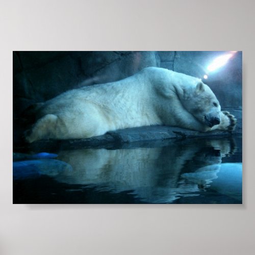 Polar Bear In Prayer 2 Poster
