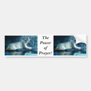 Polar Bear In Prayer Bumper Sticker