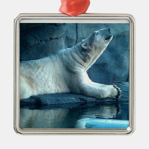 Polar Bear In Prayer Ornament