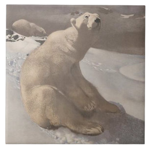 Polar bear in snow vintage illustration gray white ceramic tile