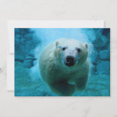 Polar Bear In Water (Front)
