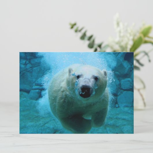 Polar Bear In Water (Standing Front)