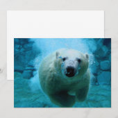 Polar Bear In Water (Front/Back)
