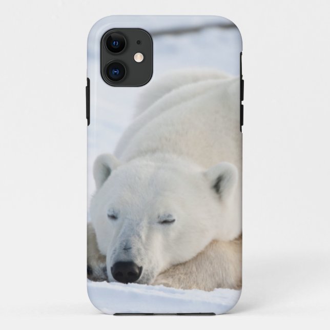 Polar Bear in winter Case-Mate iPhone Case (Back)