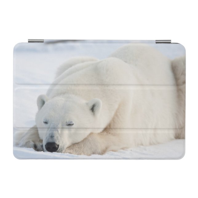 Polar Bear in winter iPad Mini Cover (Horizontal)