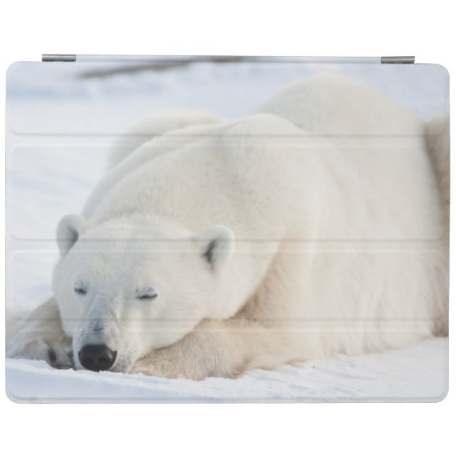 Polar Bear in winter iPad Smart Cover (Horizontal)