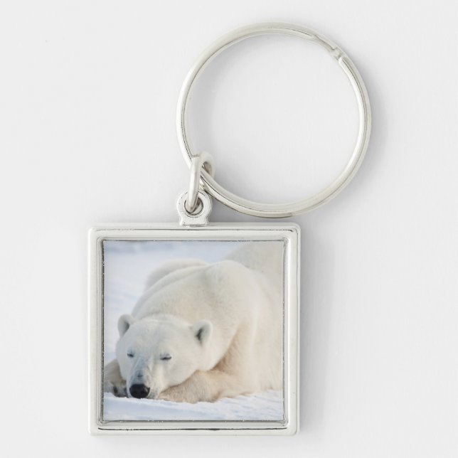 Polar Bear in winter Keychain (Front)