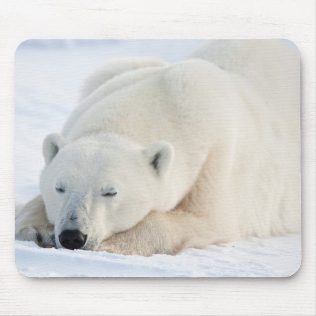 Polar Bear in winter Mouse Pad (Front)