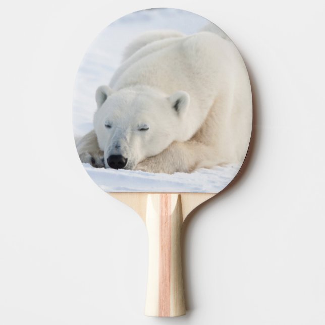 Polar Bear in winter Ping-Pong Paddle (Front)