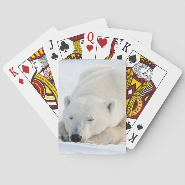 Polar Bear in winter Poker Cards (Back)