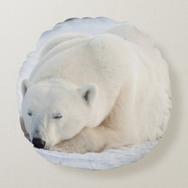 Polar Bear in winter Round Pillow (Front)