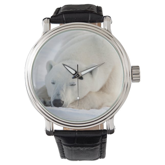 Polar Bear in winter Watch (Front)