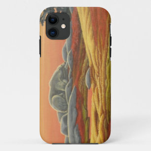 Polar Bear IPhone 5 Case Wildlife Art Bear Gifts