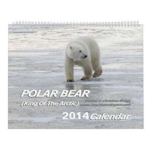 POLAR BEAR King of the Arctic Calendar 2014 2_Pg