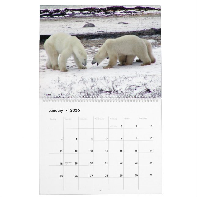 POLAR BEAR King of the Arctic Calendar 2014 2-Pg. (Jan 2026)