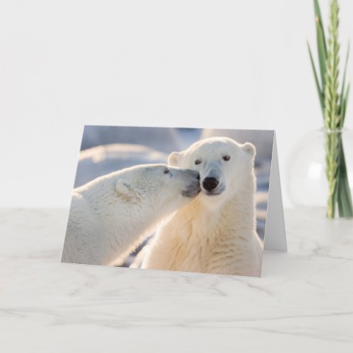 Polar Bear Kiss Holiday Card