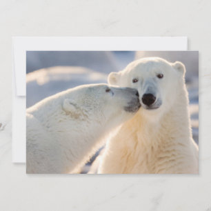 Polar Bear Kiss Holiday Card
