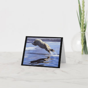 Polar Bear Leap Note Card